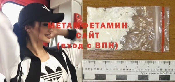 прущие грибы Балабаново