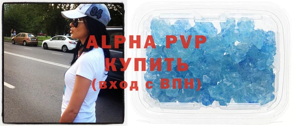 прущие грибы Балабаново